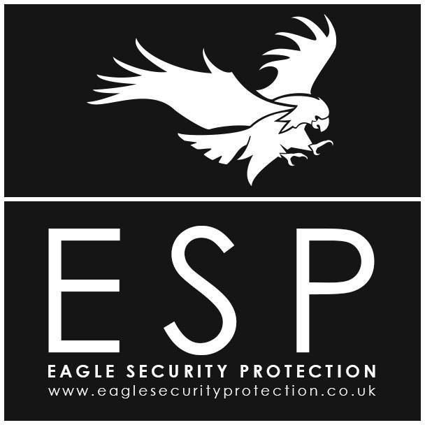 eagle security firm logo