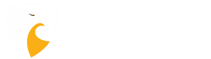 Eagle Security Protection Ltd
