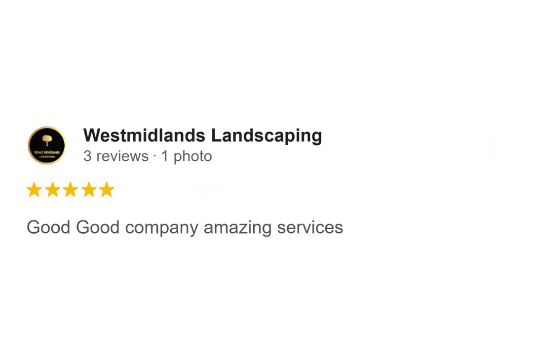 Google Business Profile review for Eagle Security Protection