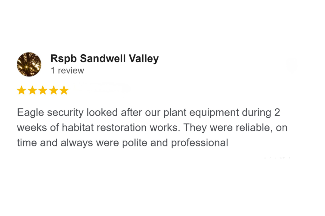 Google Business Profile review for Eagle Security Protection