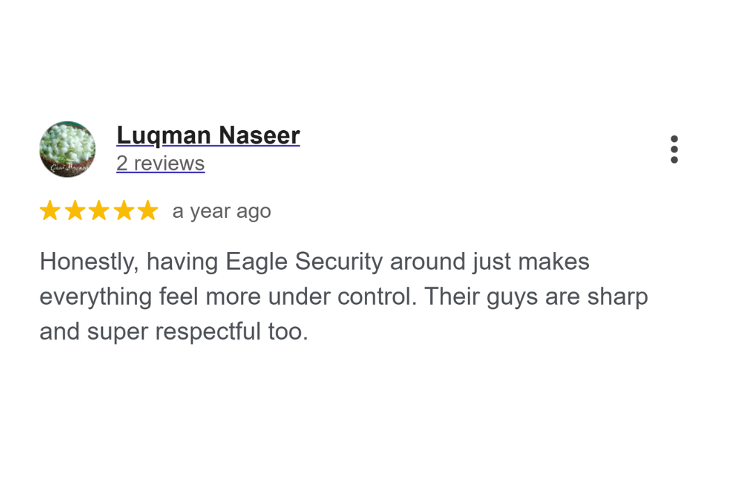 Google Business Profile review for Eagle Security Protection